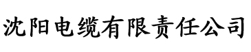 久久精品亚洲av电缆厂logo